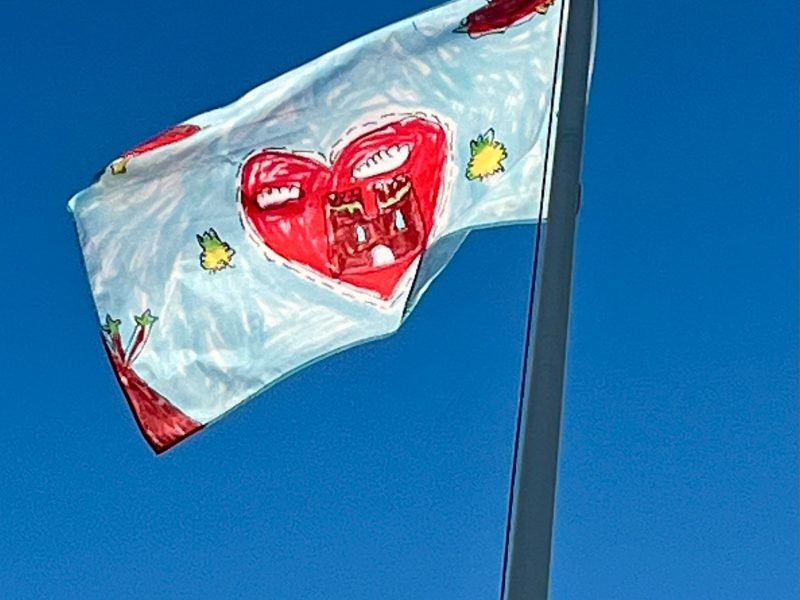 Severndoog Castle New Flag