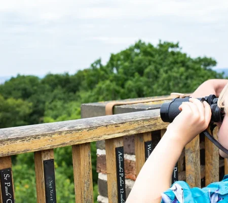 castle_binoculars